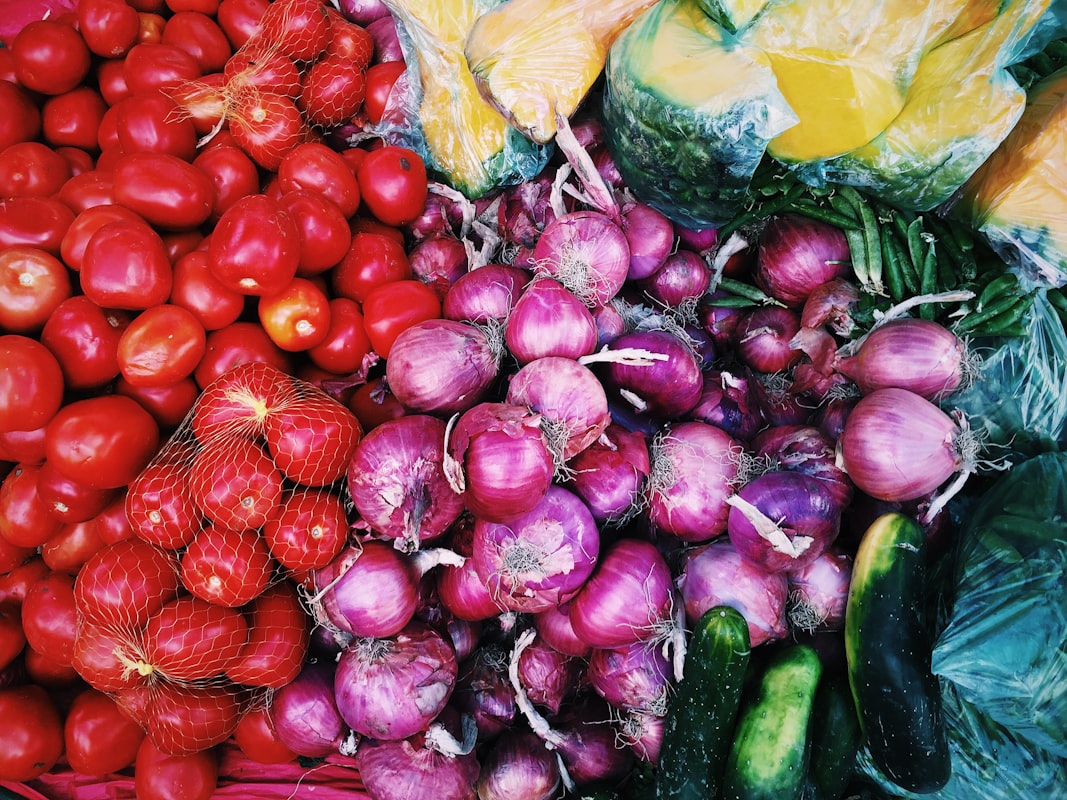 Nutritionist consulting with client